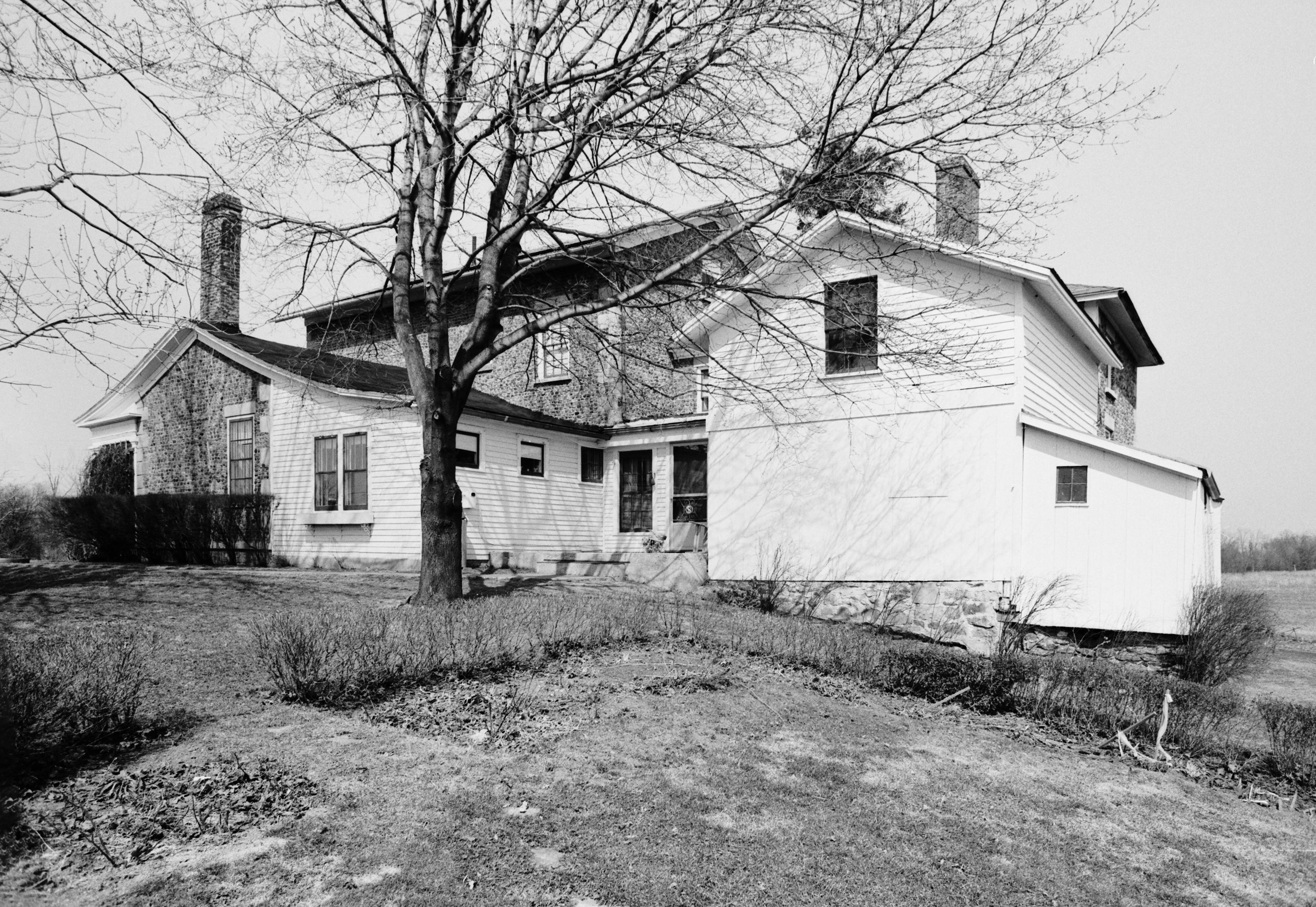 Chi-1 Chi-4 Sibley-Stuart 5